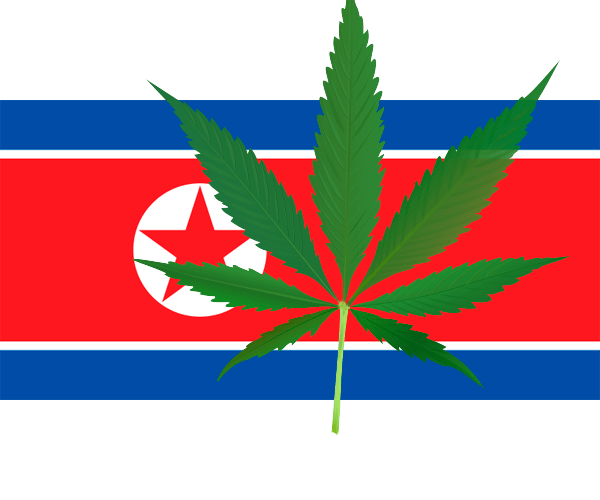 легализация марихуаны в северной корее
