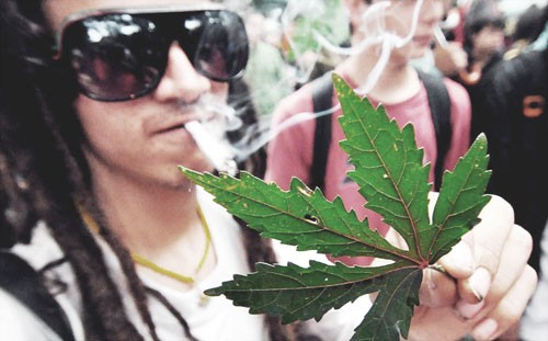 Кто курит коноплю виды семян марихуаны