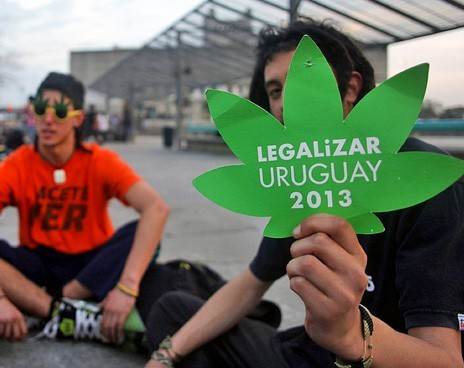 Легализация марихуаны в Уругвае