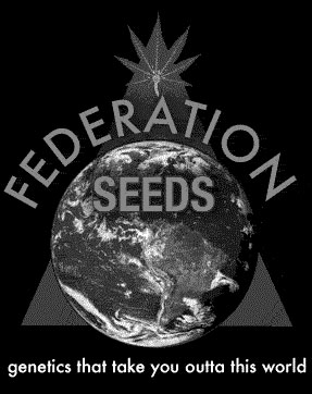 Federation Marijauna Seeds