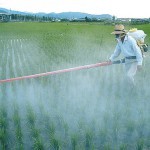 Пестициды опрыскивание