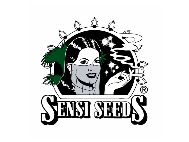 sensi seeds