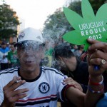 Легализация марихуаны в Уругвае