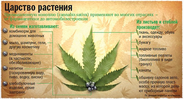Конопля полезна для что будет за контрабанду марихуаны в россию