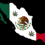 Декрименализация марихуаны в Мексике