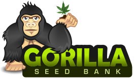 gorilla seeds