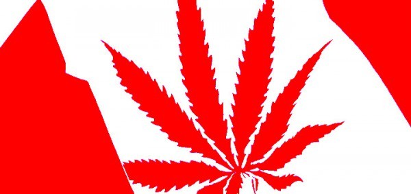 Будущее медицинской марихуаны в Канаде