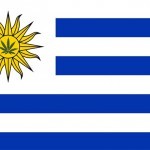 Легализация каннабиса в Уругвае
