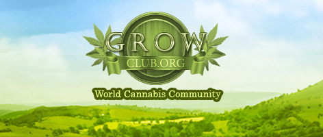 grow club