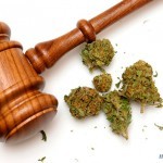 Правовой статус марихуаны в России