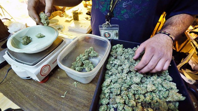 Легальная и безопасная покупка марихуаны