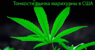 Продажа марихуаны в США