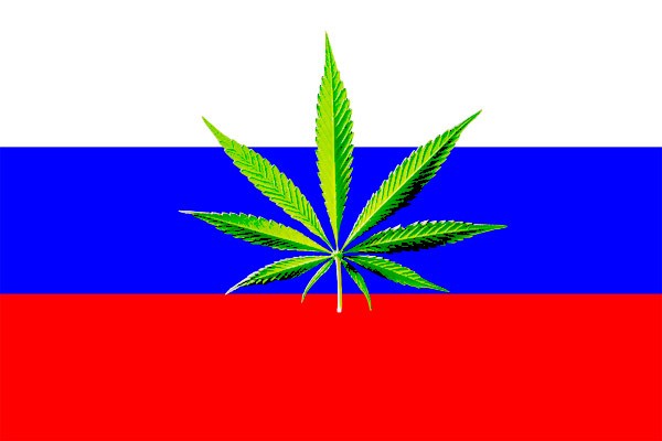 о марихуане в россии