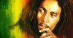marley natural