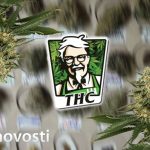 KFC marihuana
