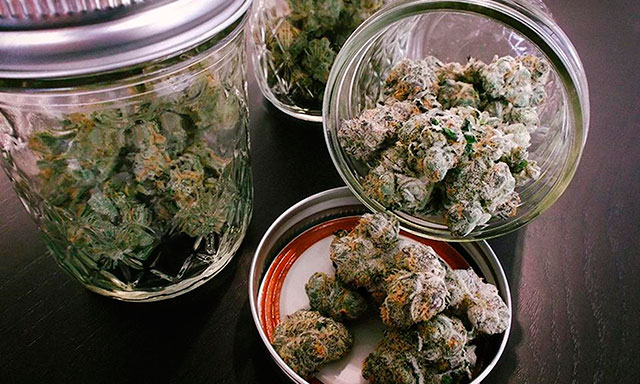 Марихуана хранится марихуана красивыми буквами