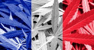 France-Marijuana