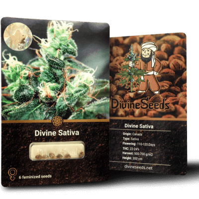 Оригинальная упаковка Divine Sativa