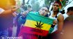 легализация марихуаны в Колумбии и Мексике