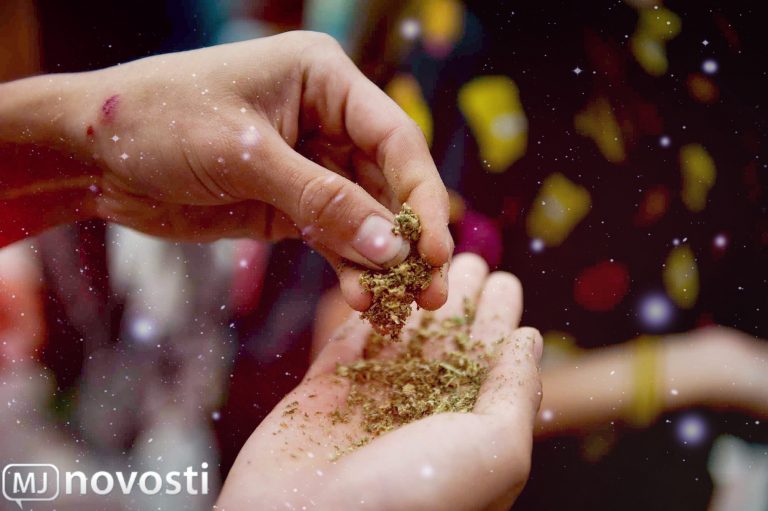 Законы о марихуане в европе заказать семена марихуаны голландии