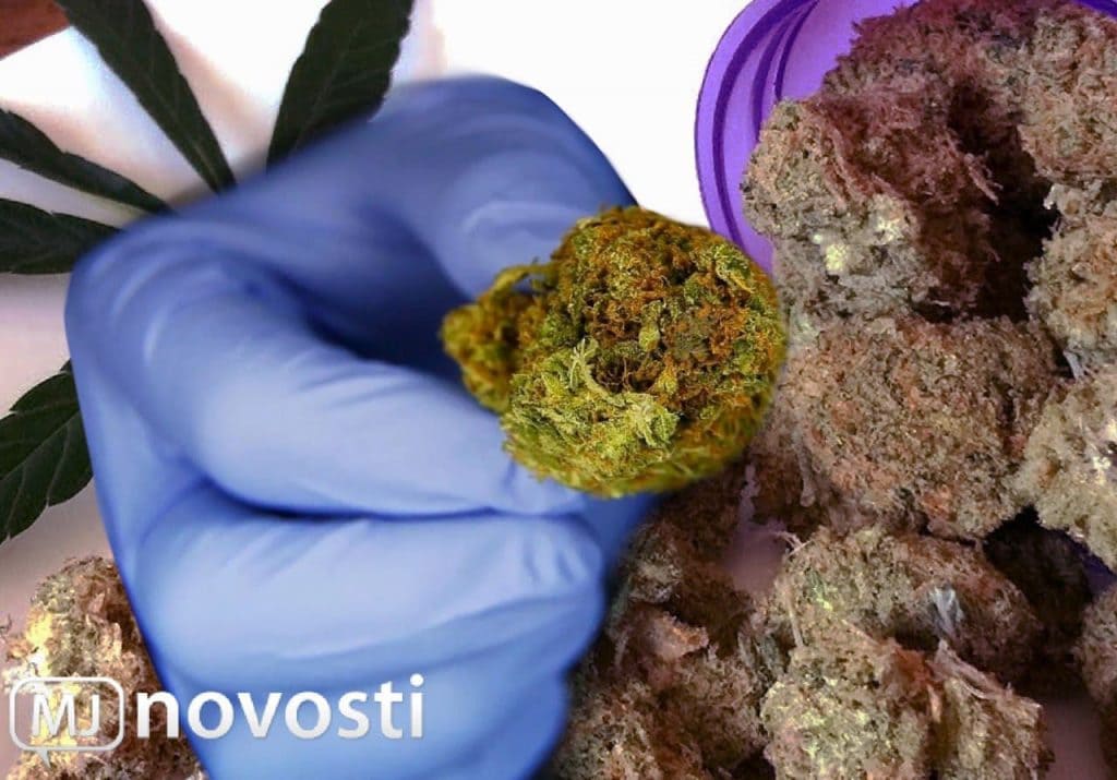 передозировка ТГК как бороться