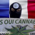 легализация марихуаны во Франции