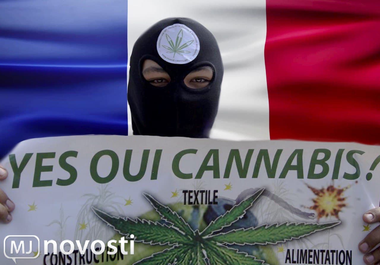 легализация марихуаны во Франции