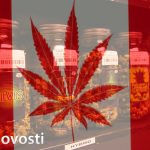 марихуана в Канаде