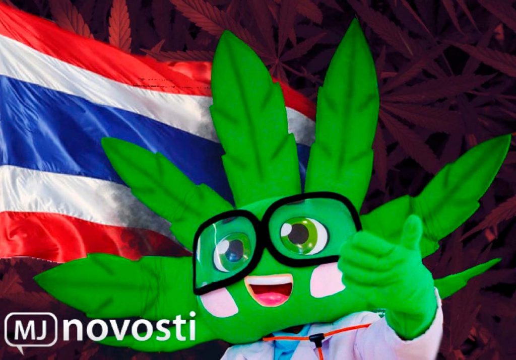 марихуана в Таиланде