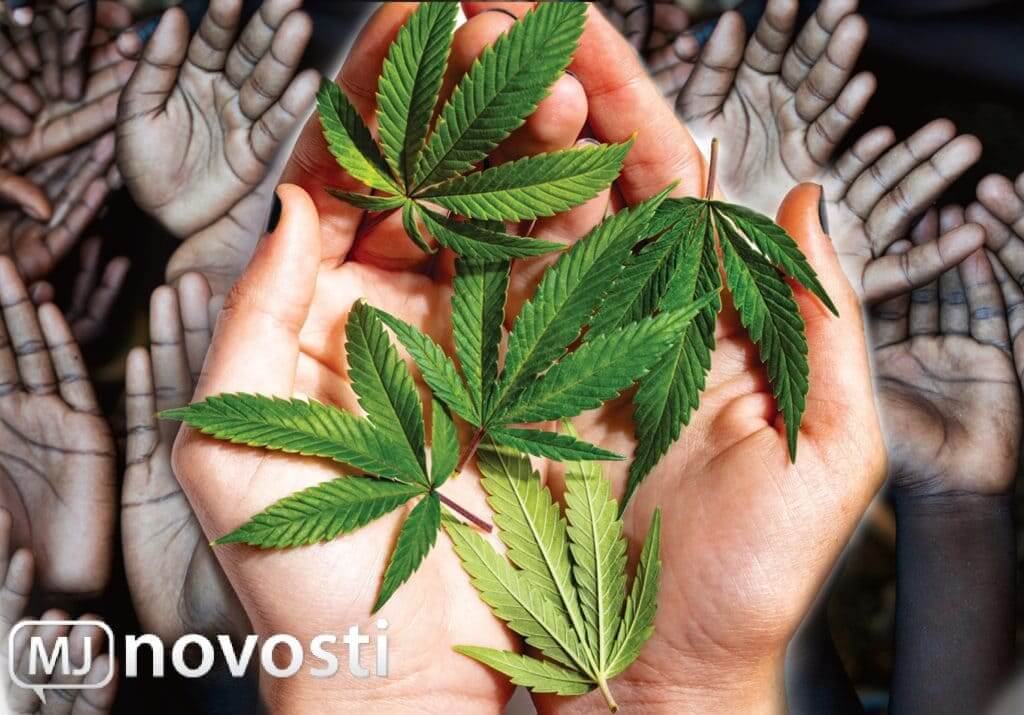 конопля и голод