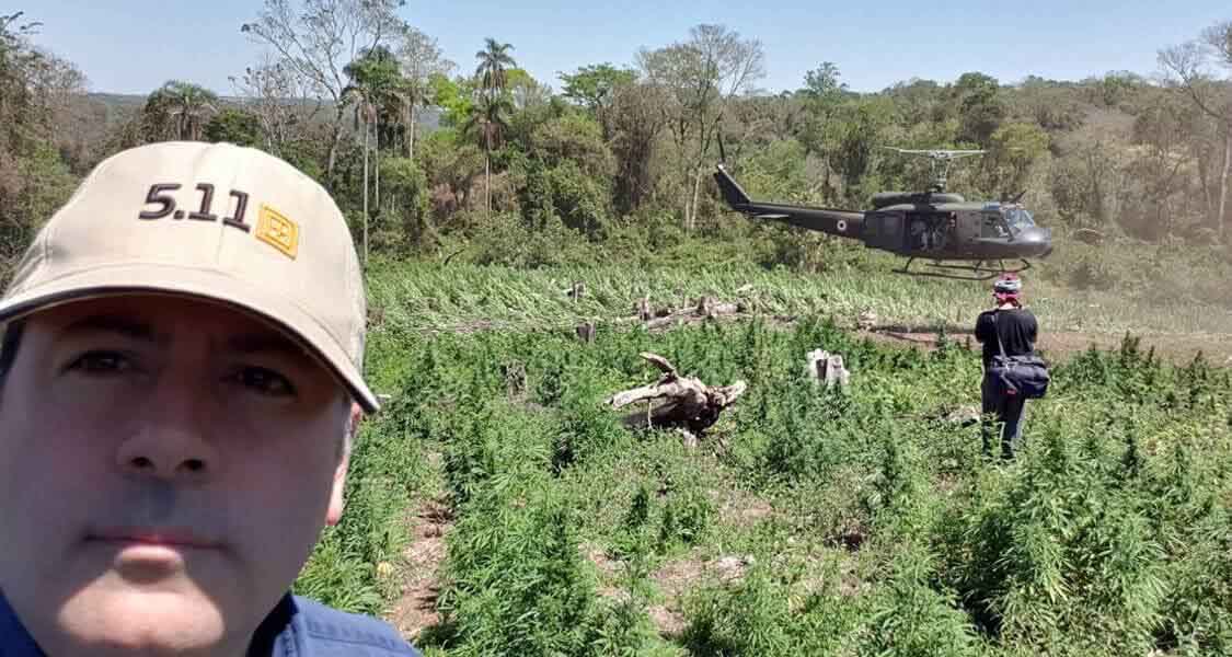 Парагвай уничтожил 300 тонн марихуаны