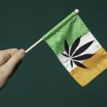 Легализация марихуаны в Ирландии
