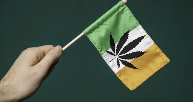 Легализация марихуаны в Ирландии