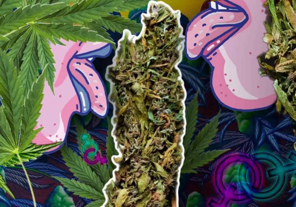 марихуана и либидо  