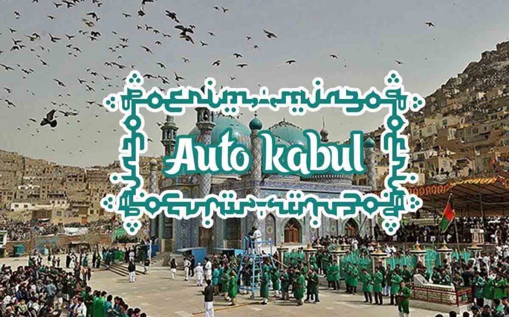 Сорт конопель Auto Kabul
