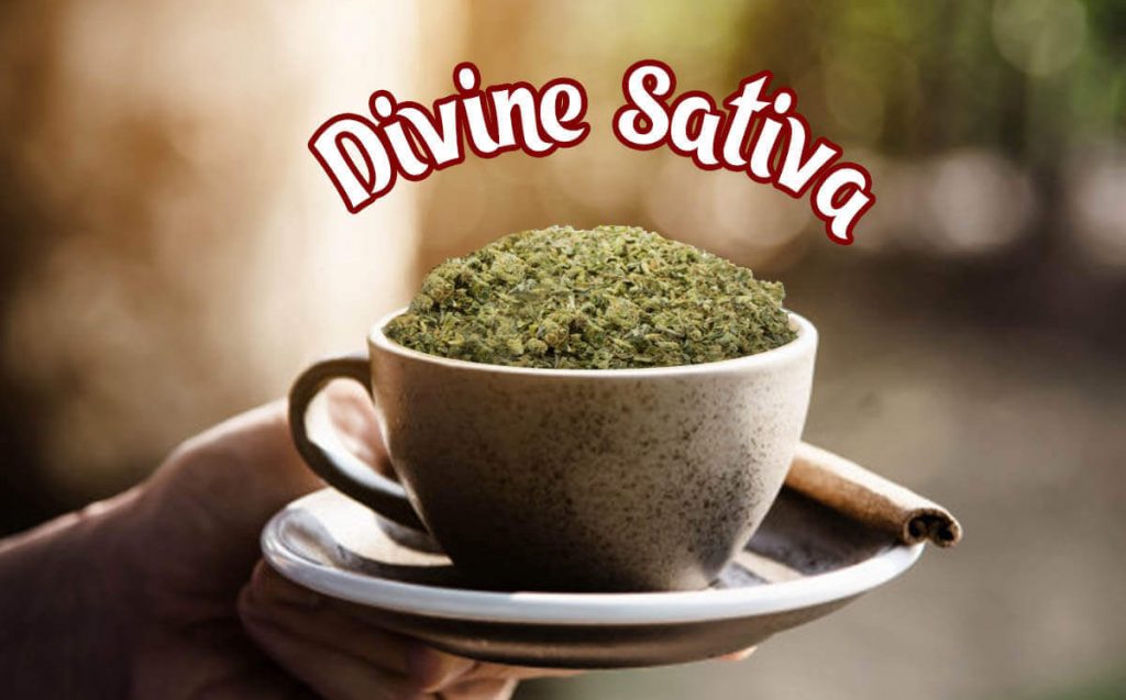 Сорт коноплі Divine Sativa